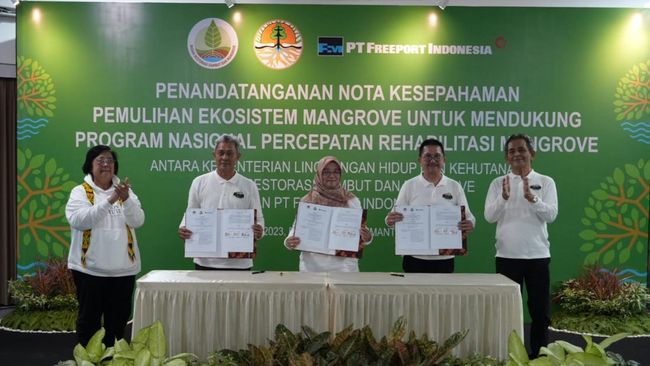 Kolaborasi KLHK, BRGM, dan PTFI Pulihkan Ekosistem Mangrove di Kaltim klhk, brgm, dan ptfi