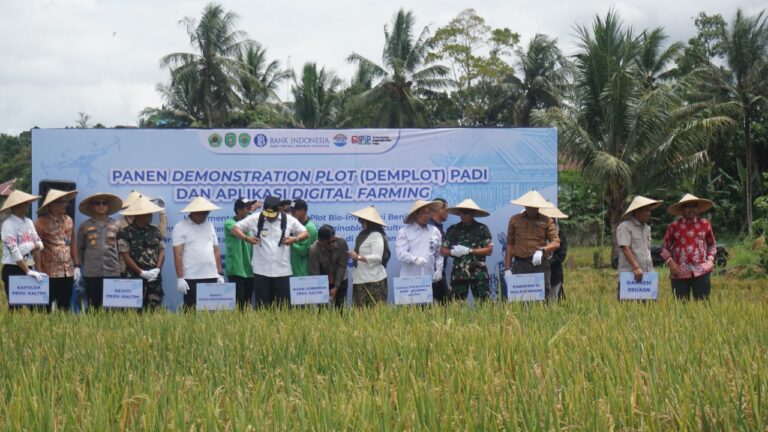 Kukar Dorong Pertanian Modern, Demplot Bukit Biru Tingkatkan Hasil Panen