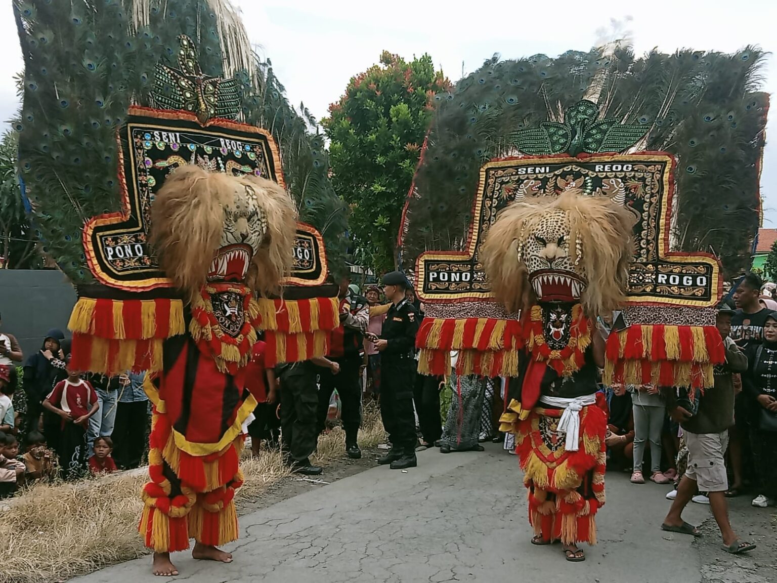 Kirab Bendera 100 Meter dan Reog Ponorogo dan Wayang Kulit Hidupkan Ruwah Desa Suruh Pagelaran Reog Ponorogo dan kirab bendera dan gunungan hasil bumi dalam rangkaian Ruwah Desa Suruh sebelum pentas wayang kulit, Minggu (1/2/2026)(Foto: Dini).