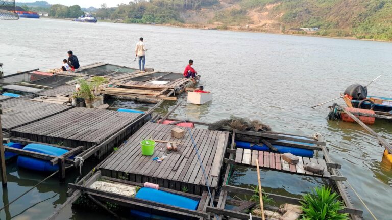 Debit Air Mahakam Menurun, Posisi Karamba Bergeser ke Tengah Sejumlah keramba ikan di perairan Kutai Kartanegara bergeser lebih ke tengah sungai akibat penurunan debit air, sebagai upaya mempertahankan kedalaman dan aliran yang sesuai untuk budidaya.
